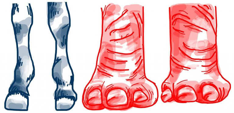 An illustration of an elephant and donkey side by side